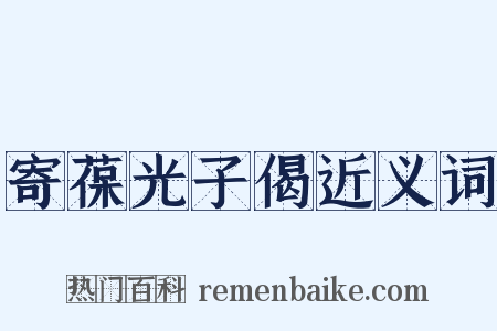 寄葆光子偈近义词是什么意思的图片